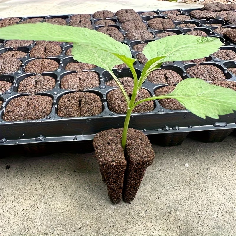 Hydroponic Rapid Grow Rooting  - Nursery recension och pris